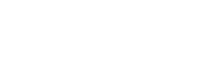 STEALTH CYBER