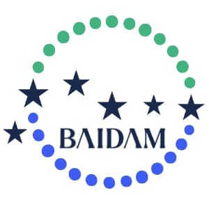 Baidam custom sneakers